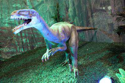 Deinonychus on the Exposition Days of the the Dinosaur in Vigo