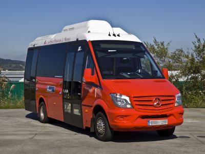 Monbus minibus; Mercedes - Benz Sprinter 516 GNC model
