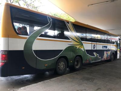 Autobús de Monbus amb vinilado especial per la diada de Sant Jordi
