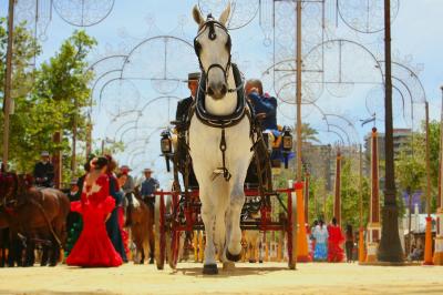 Carro de caballos en las fiestas de Jerez